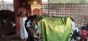 WhatsApp Image 2022-01-20 at 18.09.54 (2).jpeg