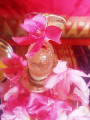 WhatsApp Image 2022-01-21 at 10.16.06.jpeg