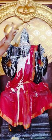 WhatsApp Image 2022-01-21 at 12.45.14.jpeg