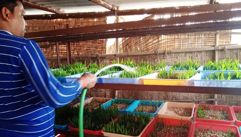 WhatsApp Image 2022-01-22 at 16.33.07.jpeg