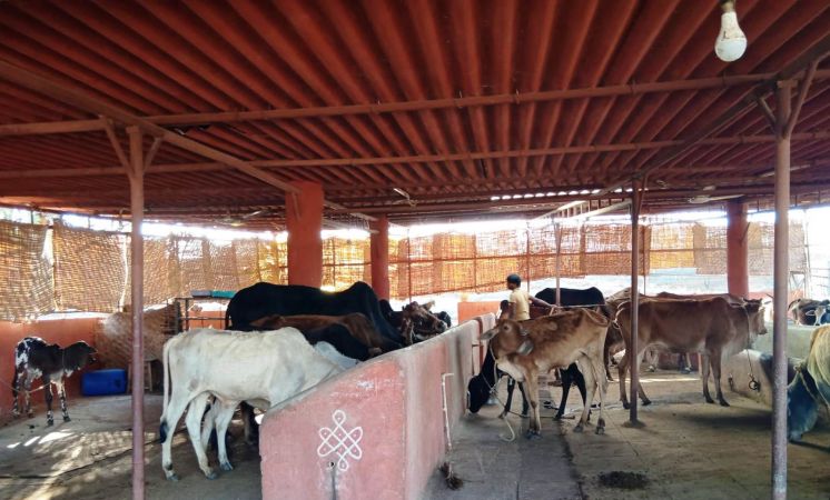 WhatsApp Image 2022-01-22 at 16.39.53.jpeg