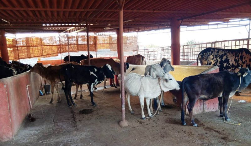 File:WhatsApp Image 2022-01-22 at 16.39.54 (1).jpeg