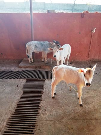 WhatsApp Image 2022-01-22 at 16.39.55.jpeg