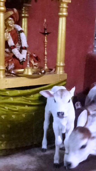 File:WhatsApp Image 2022-01-22 at 21.43.11.jpeg