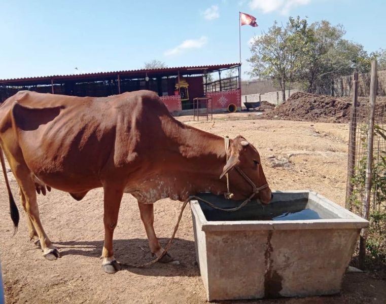 File:WhatsApp Image 2022-01-23 at 13.06.04.jpeg