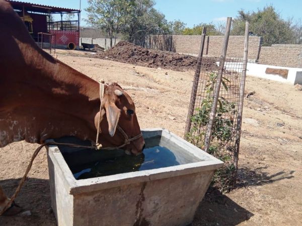 WhatsApp Image 2022-01-23 at 13.06.05.jpeg