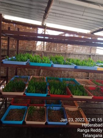 WhatsApp Image 2022-01-23 at 13.07.46.jpeg