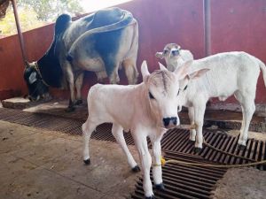 WhatsApp Image 2022-01-23 at 13.07.53.jpeg