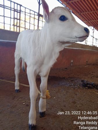 WhatsApp Image 2022-01-23 at 13.07.53 (1).jpeg