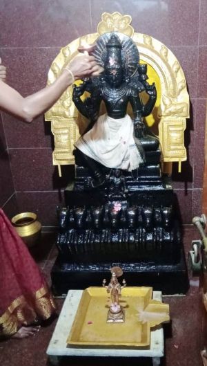 WhatsApp Image 2022-01-23 at 20.16.46.jpeg