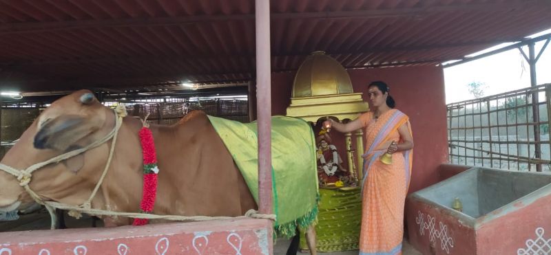 File:WhatsApp Image 2022-01-23 at 21.00.39.jpeg