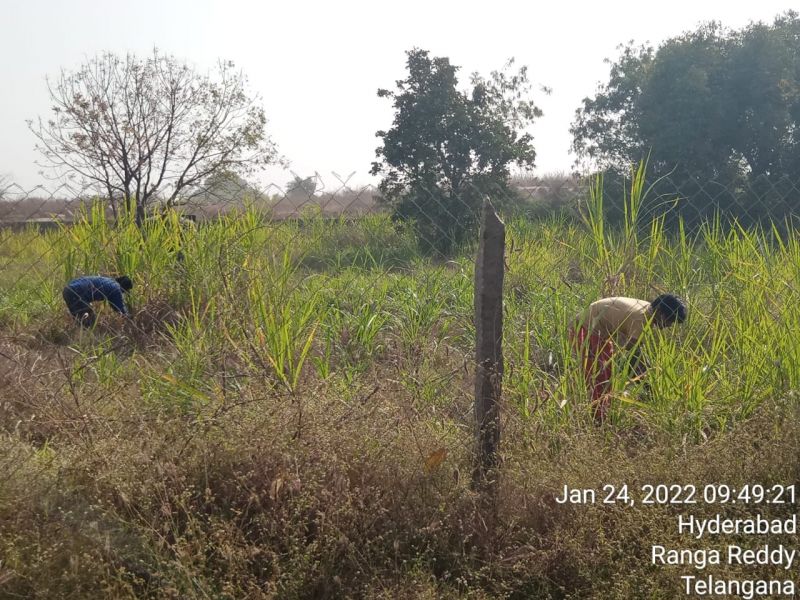 File:WhatsApp Image 2022-01-24 at 09.50.42.jpeg