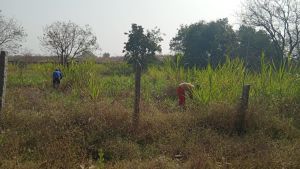 WhatsApp Image 2022-01-24 at 09.51.10.jpeg