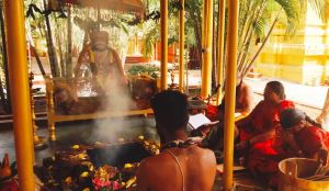 WhatsApp Image 2022-01-24 at 11.54.01.jpeg