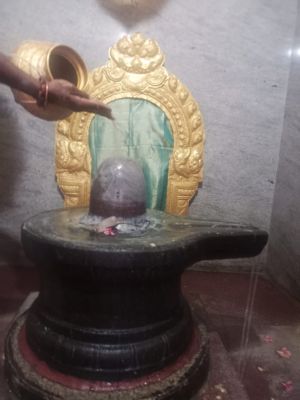 WhatsApp Image 2022-01-24 at 18.29.45 (1).jpeg