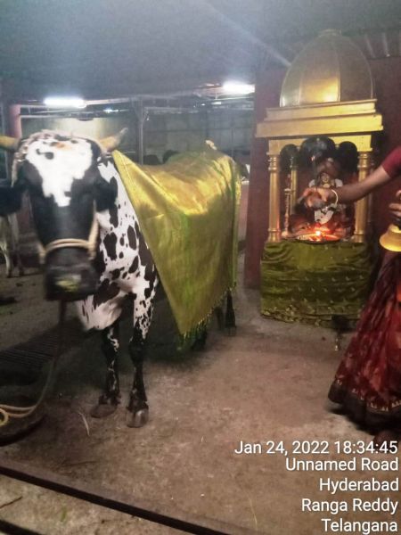 File:WhatsApp Image 2022-01-24 at 18.48.02.jpeg