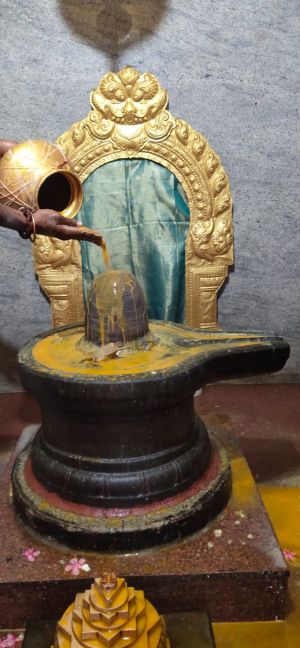 WhatsApp Image 2022-01-24 at 20.44.48.jpeg