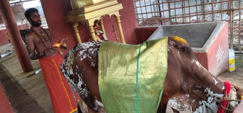 File:WhatsApp Image 2022-01-25 at 23.24.09 (2).jpeg