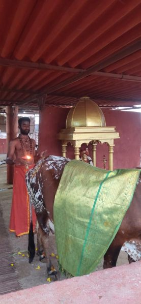 File:WhatsApp Image 2022-01-25 at 23.24.09 (3).jpeg