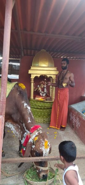 File:WhatsApp Image 2022-01-25 at 23.24.10.jpeg