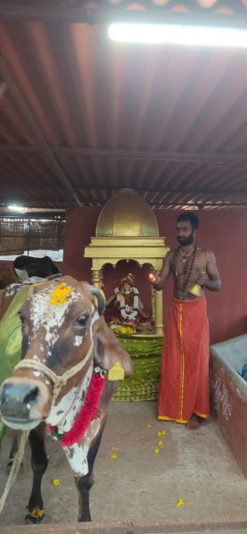 File:WhatsApp Image 2022-01-25 at 23.24.11 (1).jpeg