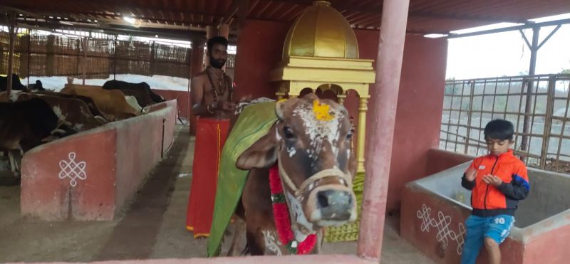 File:WhatsApp Image 2022-01-25 at 23.24.12.jpeg