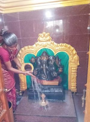 WhatsApp Image 2022-01-26 at 19.02.42.jpeg