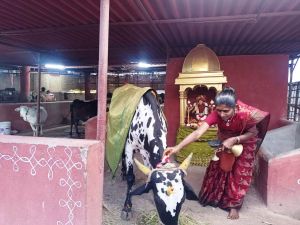 WhatsApp Image 2022-01-26 at 20.05.29.jpeg