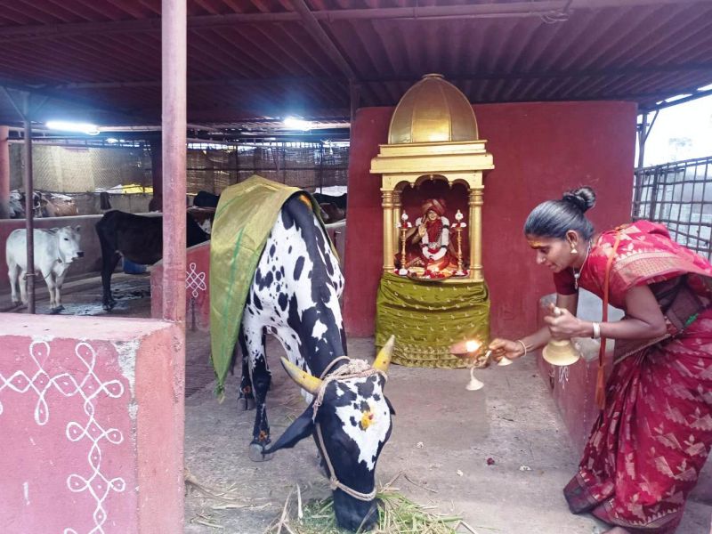 File:WhatsApp Image 2022-01-26 at 20.05.31.jpeg