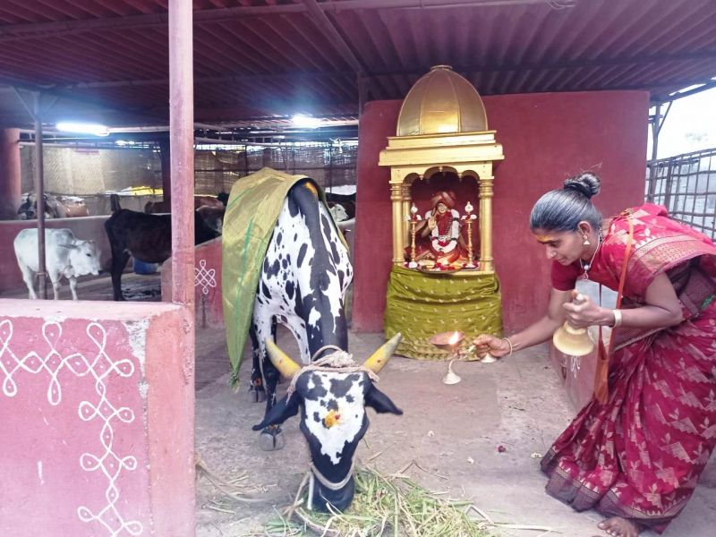 File:WhatsApp Image 2022-01-26 at 20.05.41.jpeg