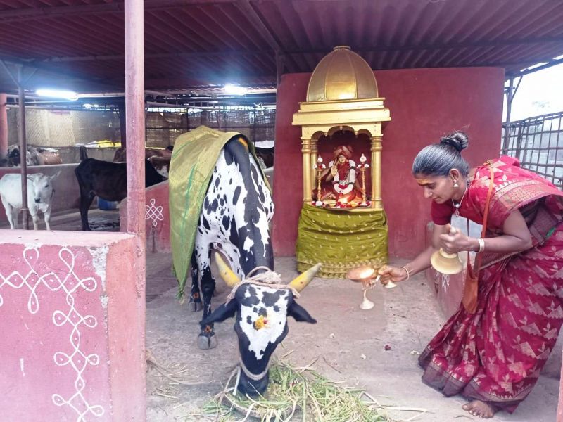 File:WhatsApp Image 2022-01-26 at 20.05.42.jpeg