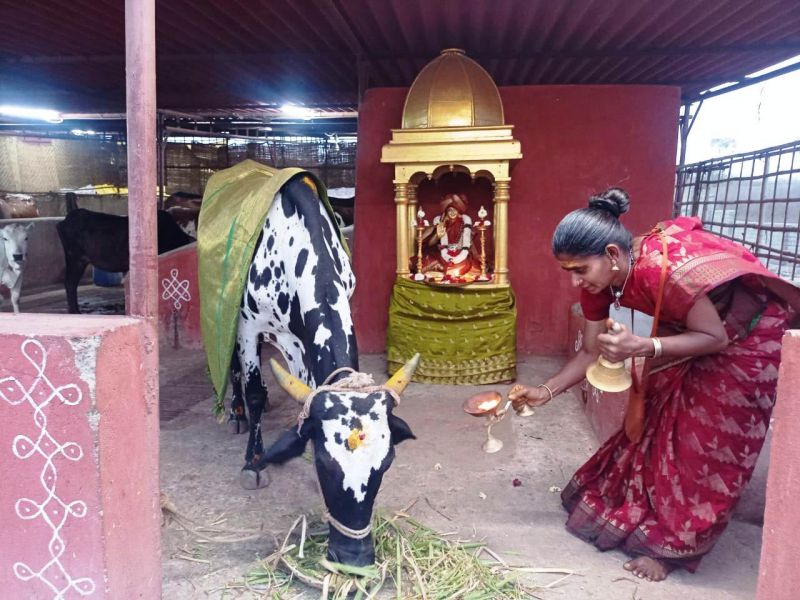 File:WhatsApp Image 2022-01-26 at 20.05.42 (1).jpeg