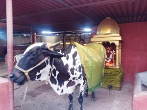 WhatsApp Image 2022-01-26 at 20.05.49.jpeg