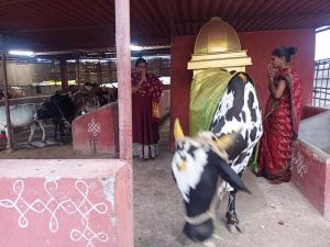 WhatsApp Image 2022-01-26 at 20.05.51 (1).jpeg