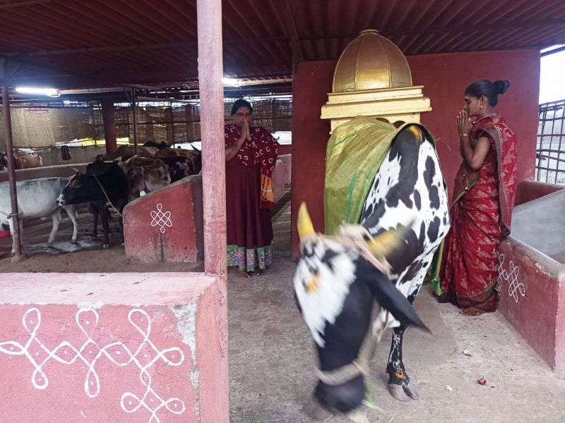 File:WhatsApp Image 2022-01-26 at 20.05.51 (1).jpeg