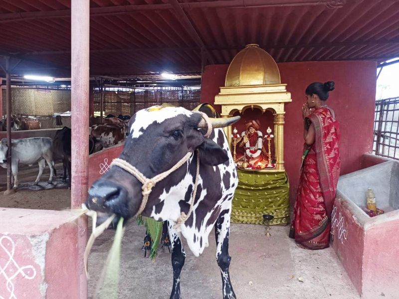 File:WhatsApp Image 2022-01-26 at 20.05.51 (2).jpeg