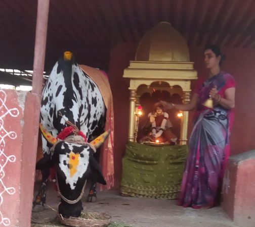 WhatsApp Image 2022-01-28 at 18.28.57.jpeg