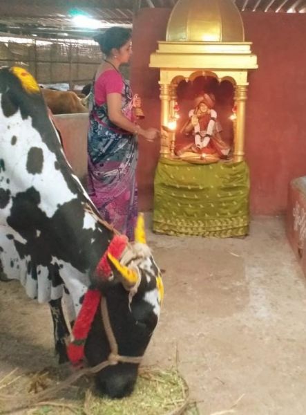 File:WhatsApp Image 2022-01-28 at 18.30.51.jpeg