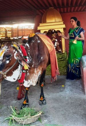 WhatsApp Image 2022-01-29 at 17.53.43 (1).jpeg