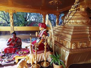 WhatsApp Image 2022-01-29 at 18.16.02.jpeg