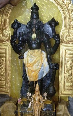 WhatsApp Image 2022-01-29 at 21.46.40.jpeg