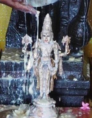 WhatsApp Image 2022-01-29 at 21.46.41 (1).jpeg