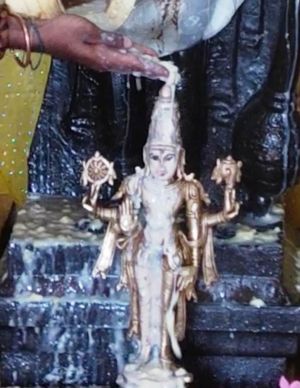 WhatsApp Image 2022-01-29 at 21.46.42.jpeg