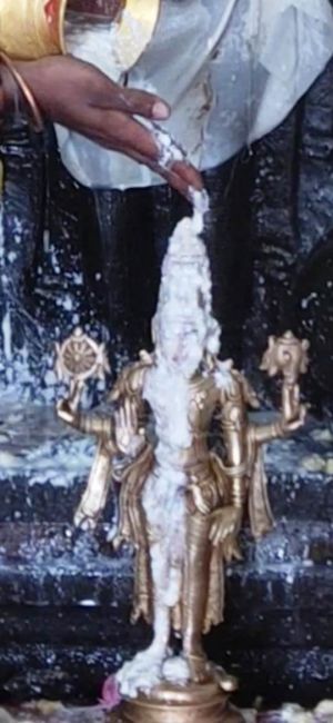 WhatsApp Image 2022-01-29 at 21.46.47.jpeg