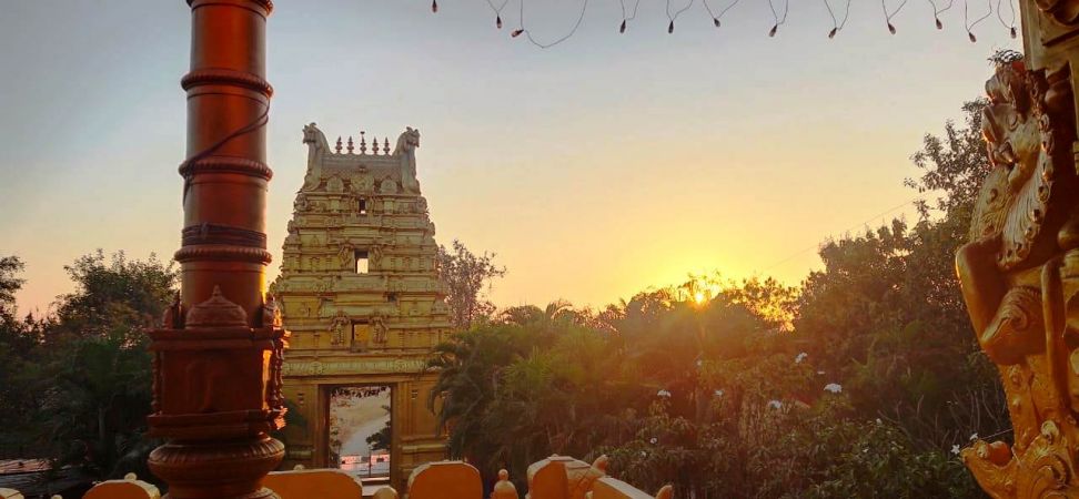 WhatsApp Image 2022-01-30 at 11.06.36.jpeg