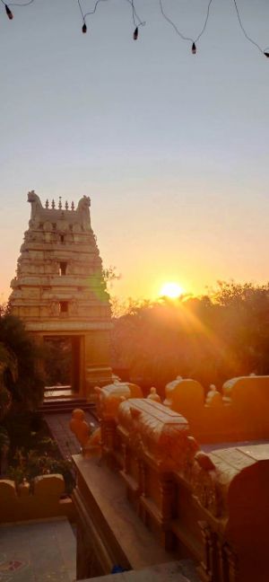 WhatsApp Image 2022-01-30 at 11.06.39.jpeg