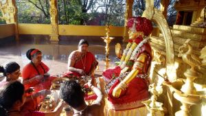 WhatsApp Image 2022-01-30 at 11.13.26.jpeg