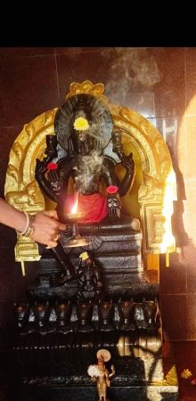 WhatsApp Image 2022-01-30 at 11.13.53.jpeg