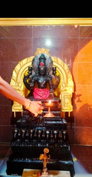 File:WhatsApp Image 2022-01-30 at 11.13.55.jpeg