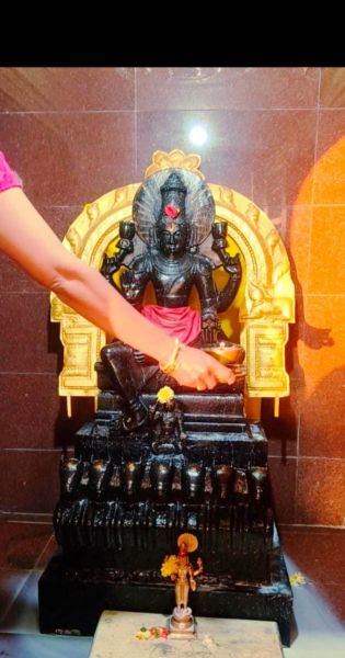 File:WhatsApp Image 2022-01-30 at 11.13.56.jpeg